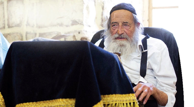The Rebbe, Rabbi Mordechai Goldstein