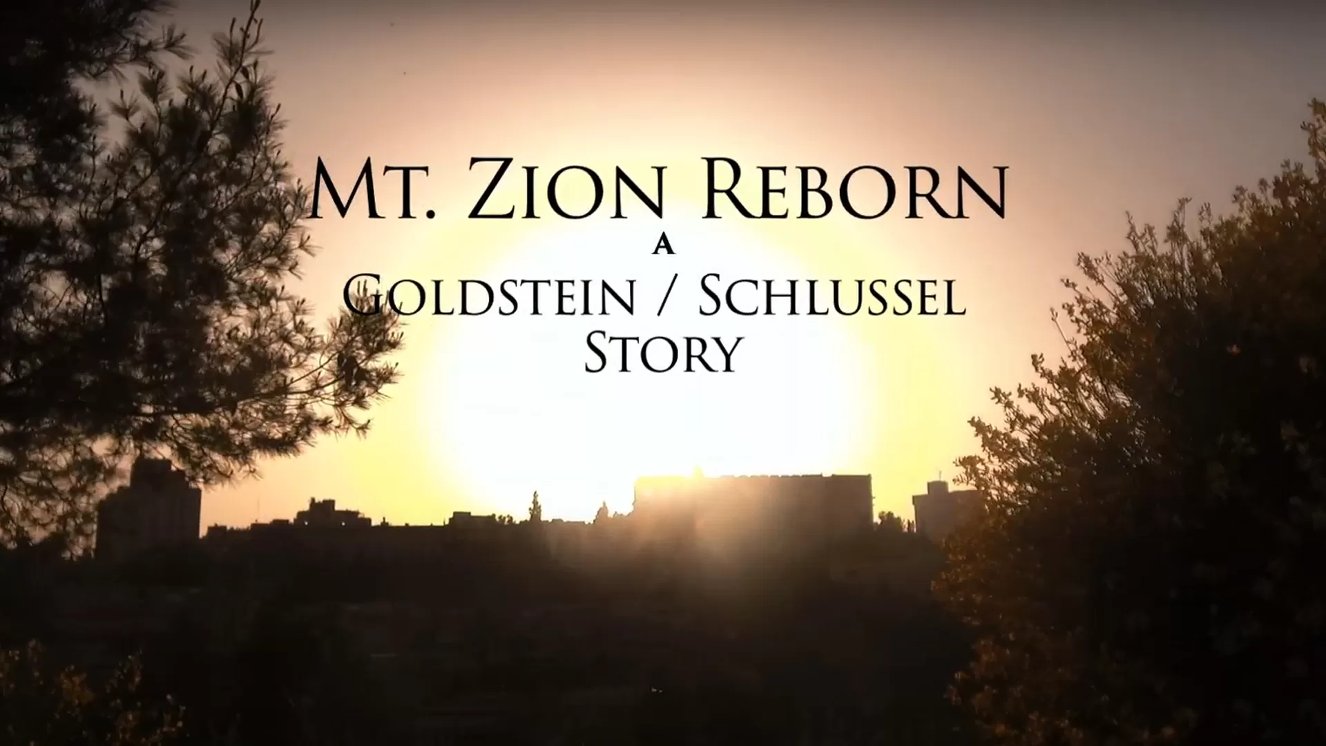 Mt Zion Reborn Cover